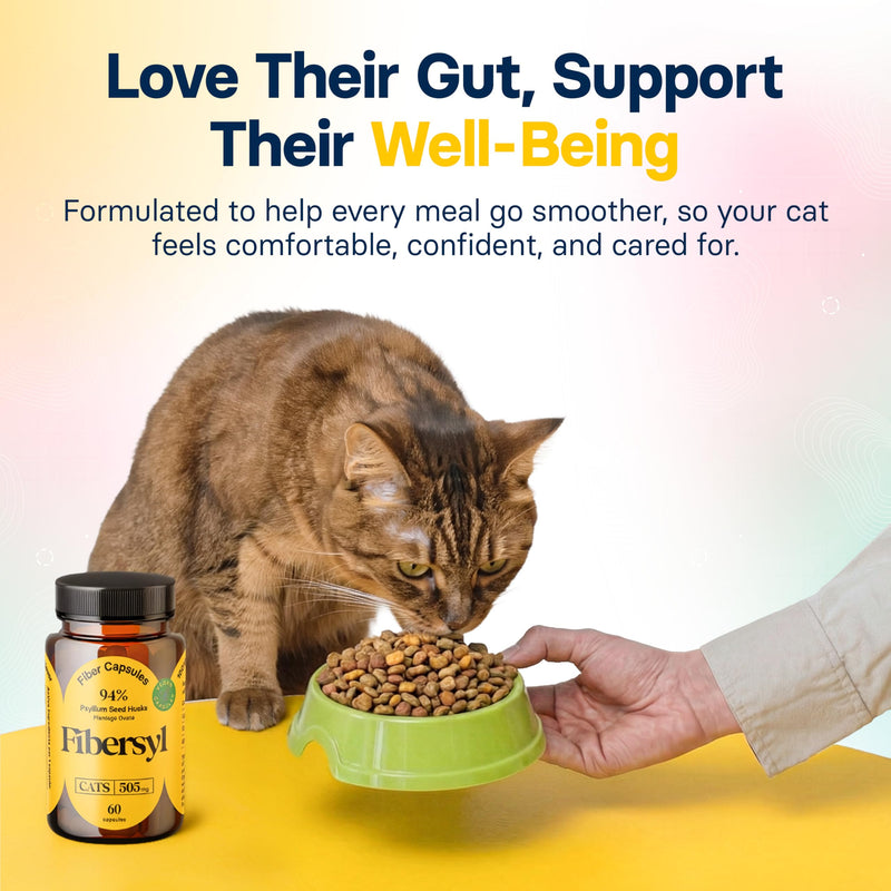 FiberSyl Prebiotics for Cats Digestive Health - Cat Fiber Supplements for Constipation Relief & Support - Psyllium Husk Seed to Support Digestion Problems - Cat Stool Hardener - 60 Capsules