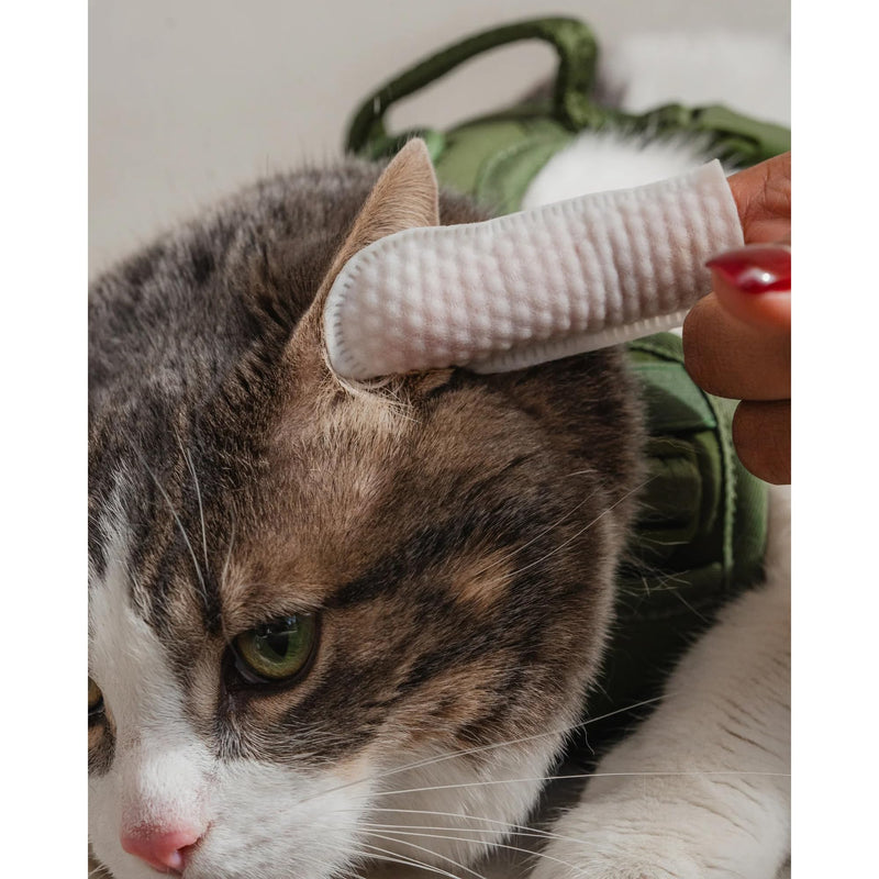 Dexypaws: Eyes, Ears & Nose Finger Wipes - Cat - 100ct Soft Cleansing Wipes, Unscented, Pet Safe, Daily Grooming & Care, Control Design, Pre-Moistened