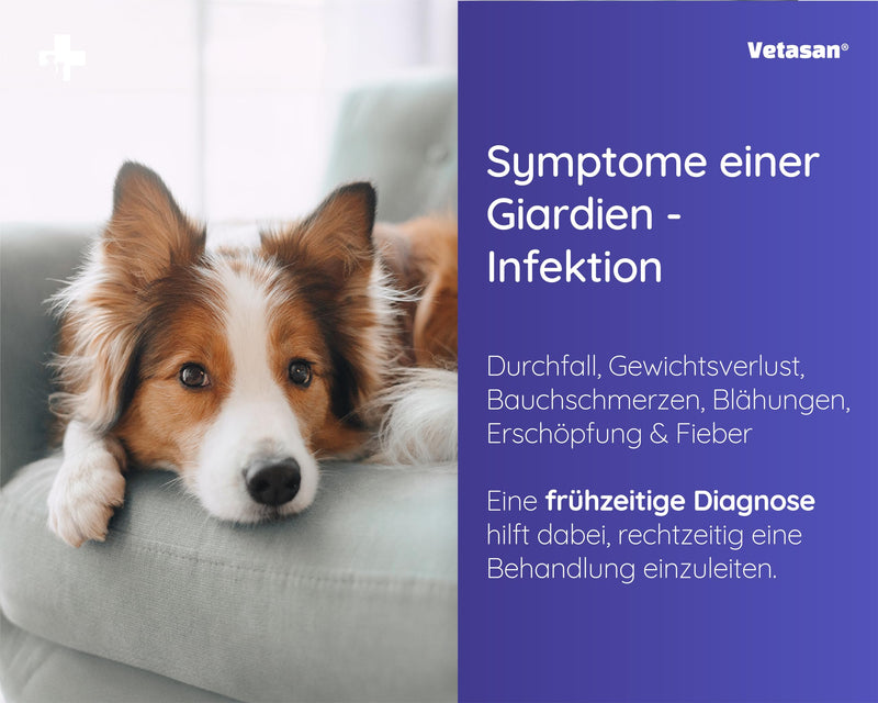 Vetasan 2X Giardia rapid test for dogs and cats I Professional Giardia test reliable & fast I 98.3% accuracy I Giardia test, Giardia test 2 x test - PawsPlanet Australia