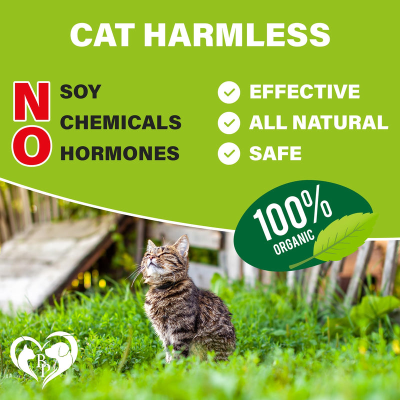 Flea and Tick Prevention Chewable Pills for Cats - Revolution Oral Flea Treatment for Pets - Pest Control & Natural Defense - Chewables Small Tablets Made in USA (Salmon Fish (for Cats)) - PawsPlanet Australia