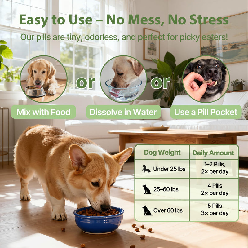 Dog Constipation Relief, Dog Laxative andDog Stool Softener – Herbal and Probiotic Supplement for Constipation Relief forDogs, DogGas Relief – Supports Digestion, Comfort, and Regular Poops