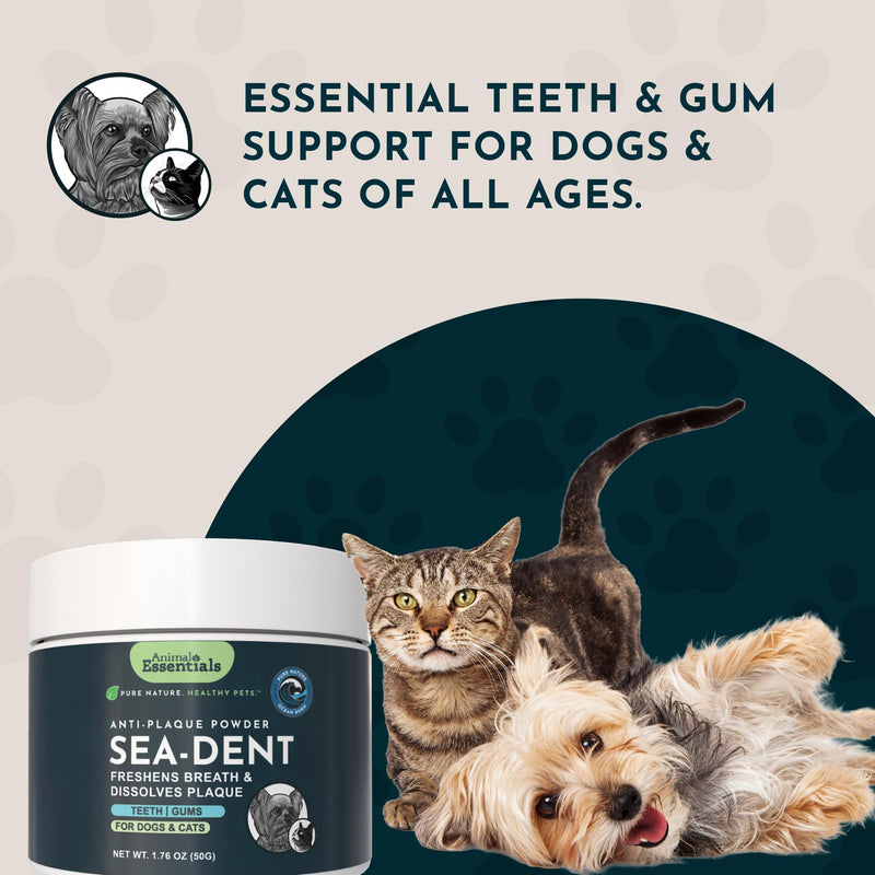 Animal Essentials Sea-Dent for Dog Teeth - Dental Powder for Dogs & Cats Teeth & Gums, Natural Oral Formula for Plaque & Tartar, Bad Breath Oral Freshener & Cleaner - 1.76 oz