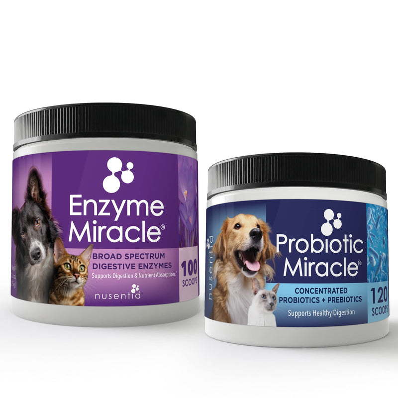 NUSENTIA The Miracle Pack - Natural Probiotics + Digestive Enzymes - Prebiotics - for Diarrhea, Gas, Loose Stool, Digestive Upset, & Allergies