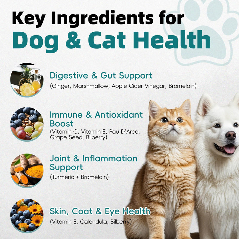 Yeast Infection Treatment for Dogs & Cats, Supports Healthy Itch, Inflammation, Irritation & Allergy Relief, Dog Ear Infection Treatment, Skin & Hair Care, Safe Natural & Effective Drops