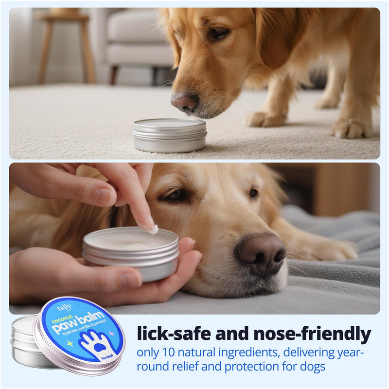 Taily Premium Pet Balm Lick-Safe Dog Paw & Nose Balm with Coconut Oil | All-Natural Moisturizer & Soother for Dry, Cracked Pads & Snout | 60 g