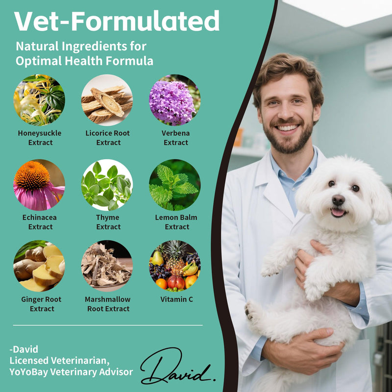 Kennel Cough Medicine for Dogs – Natural Respiratory Support | Helps Soothe Tracheal Collapse, Dry & Wet Cough, Choking & Wheezing | Honeysuckle, Licorice, Lemon Balm 200 Chew