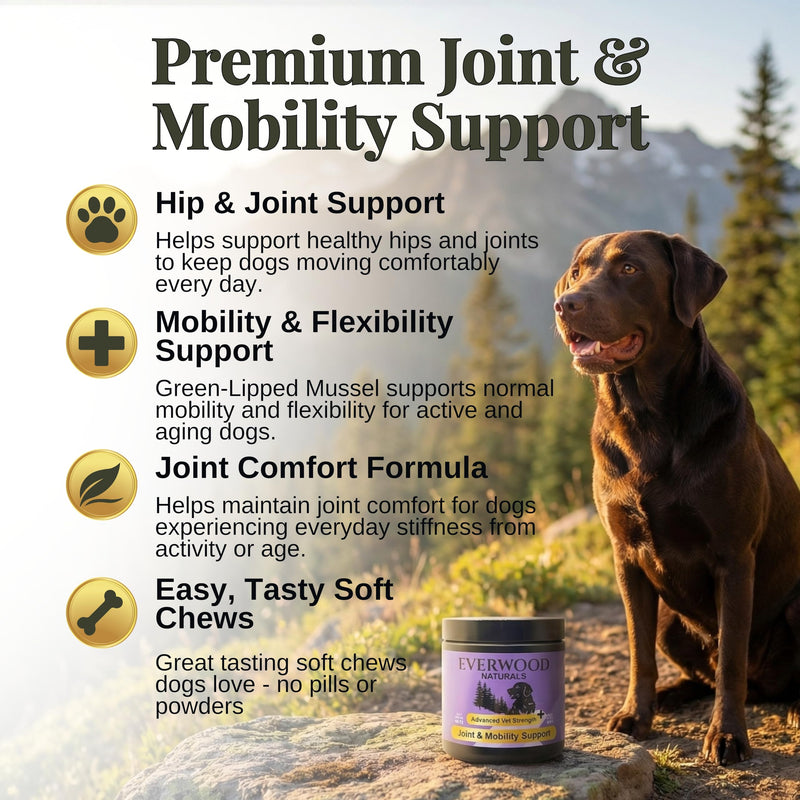 Premium Joint & Mobility Support Soft Chews for Dogs – Glucosamine, MSM, Green Lipped Mussel & Turmeric – Dog Hip & Joint Supplement – 60 Soft Chews