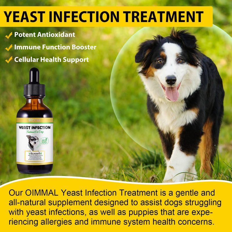 Yeast Infection Treatment for Dogs, Dog Ear Infection Treatment Supports Healthy Itch Relief, Inflammation Relief, Allergy Relief & More 2 oz
