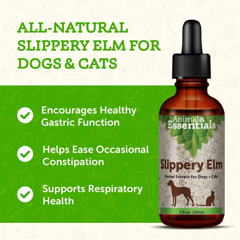 Animal Essentials Slippery Elm - Herbal Extract for Dogs and Cats, Promotes Healthy Digestion, Bowel Function, Certified Organic Herbs, All Natural, Respiratory Health, Liquid Formula - 1 Fl Oz 1 fl oz (30ml)