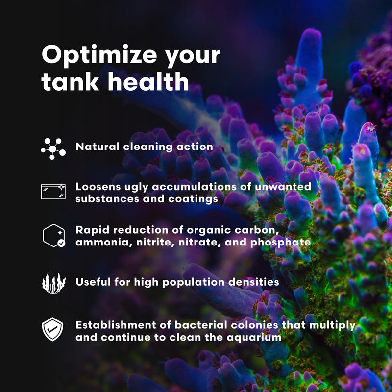 Brightwell Aquatics MicroBacter Clean - Microbial Culture & Enzyme Blend Fish Tank Cleaner - Cleans Live Rock Surfaces for Saltwater Fish Habitats - Aquarium Water Treatments, 8.45 fl oz 250-ml