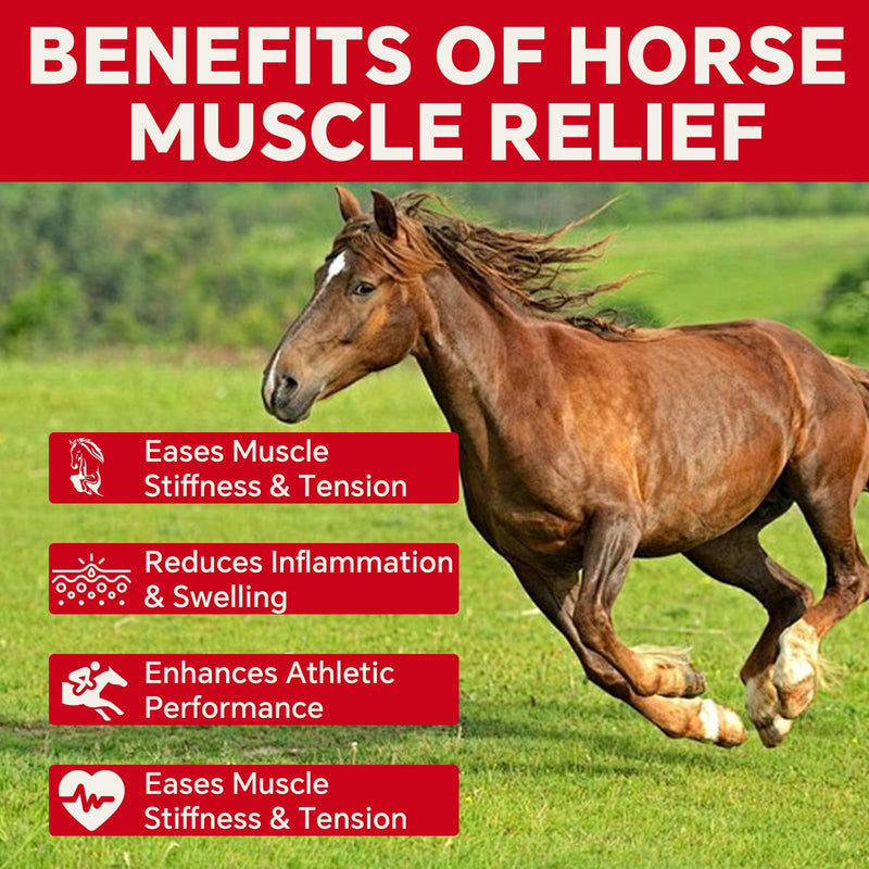 Liniment Gel DMSO for Horses | Veterinary Liniment Gel | Medical-Grade DMSO | Magnesium & Castor Oil Horse Cream for Joint & Muscle Pain | Horse Pain Relief | Muscle Pain Gel - 60g