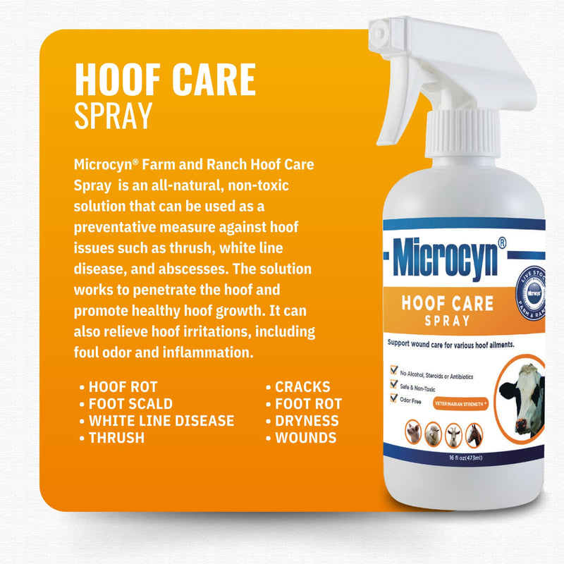 Microcyn Livestock Hoof Care Spray – 16 oz HOCl-Based Hoof Cleanser – Supports Healthy Hoof Condition & Moisture Balance – For Horses, Ponies, Donkeys & Farm Animals.