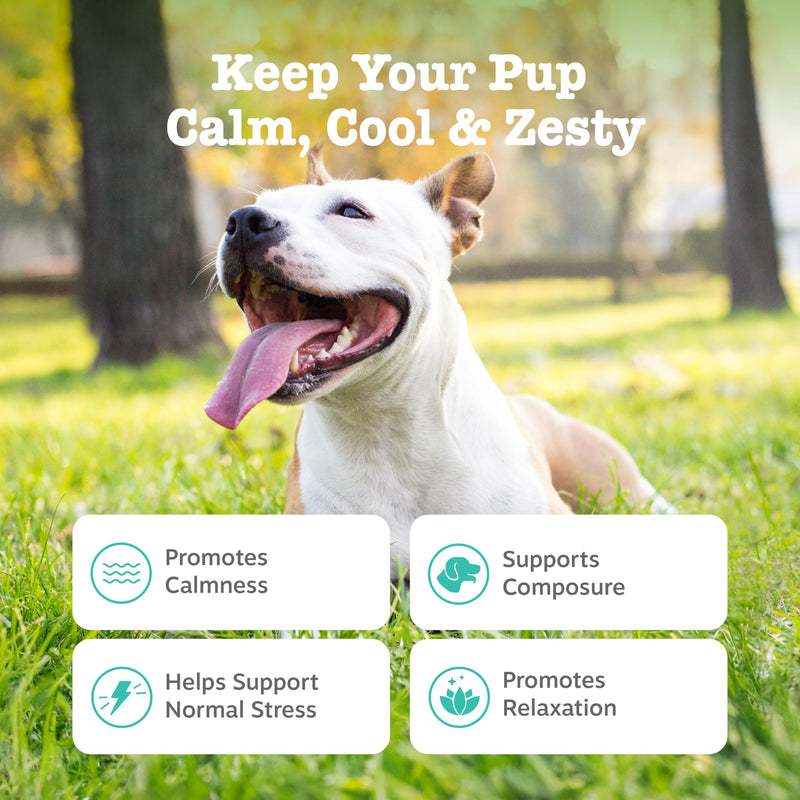 Zesty Paws Calming Chews for Dogs Composure & Relaxation for Everyday Stress & Separation Peanut Butter 90 Count 90 Count (Pack of 1)