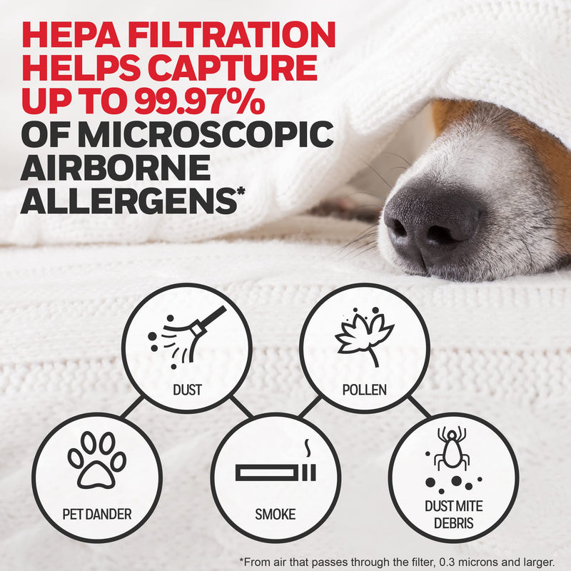 Honeywell HEPA Air Purifier Filter Kit, Includes 1 HEPA R, 4 A Pre-Filters
