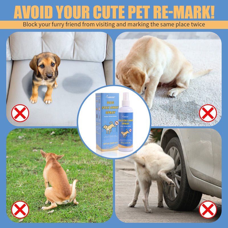 Pet Stop Marking Not here Dog Spray - Pee Safe Dog Repellent Spray -Dog Anti-Pee Spray for Indoor and Outdoor Use-Dog Stop Pee Training Spray-8 oz - PawsPlanet Australia