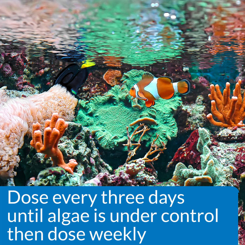 API MARINE ALGAEFIX Algae Control 16-Ounce Bottle 16 Fl Oz (Pack of 1) Aquarium Pond Water Treatment