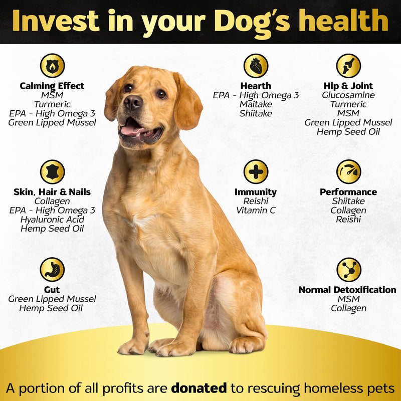 Hip and Joint Chews for Dogs + Skin and Coat Supplement - Dog Joint Pain Relief Treats - Glucosamine, Chondroitin, MSM, Hemp Oil, Turmeric, Omega 3 for Dogs, Mobility Dog Health Supplies Hip & Joint + Skin & Coat Duck - 90 Soft Chews