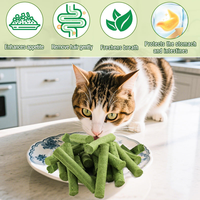 Freezed Drying Cat Grass Stick, Cat Grass Teething Sticks Snacks for Cats, Edible Dry Cats Treats for Teeth Cleaning and Hairball Removal, Made in USA