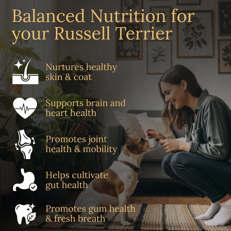Russell Terrier Multivitamins, 90 Count, Made in the USA with Real Bacon.