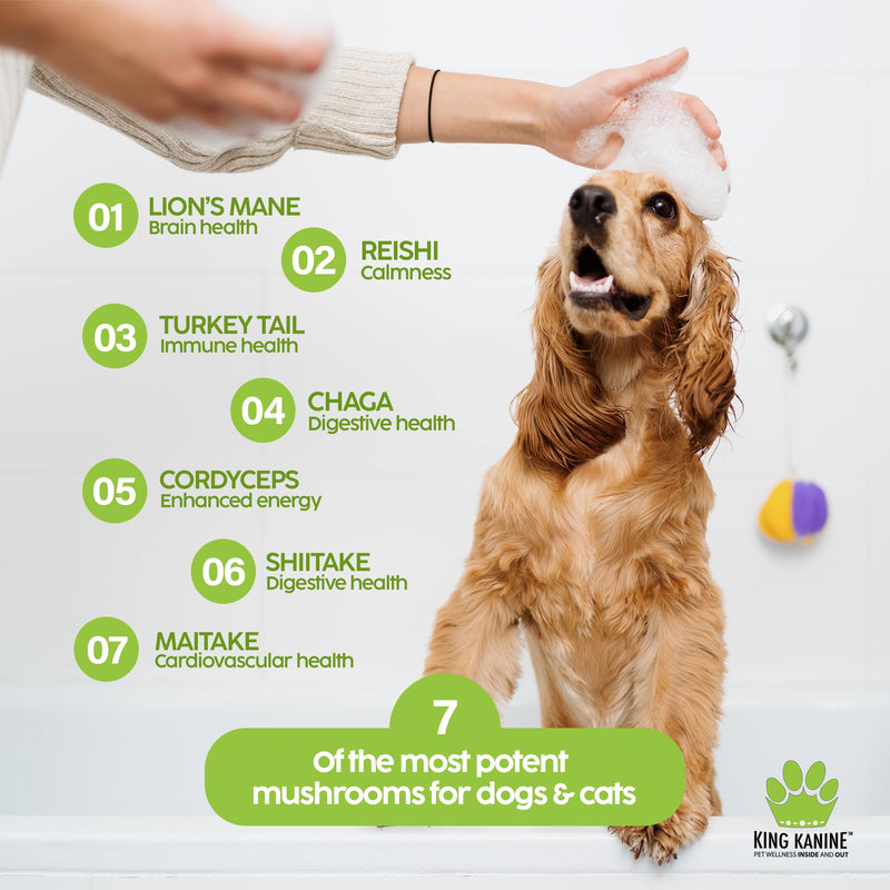 King Kanine Mushroom Plus, Protein & Joints 2 oz | Organic Powder to Improve Optimal Health & Pets Wellness | Supplement for Dogs & Cats Care Made with Fiber & Vitamins | Veterinarian Approved - PawsPlanet Australia