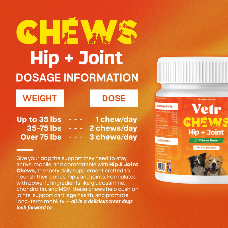 Vetr Hip and Joint Chicken Flavored Chews for Dogs - Glucosamine Chondroitin MSM Supplement - 60 Chewable Tablets - Vet-Formulated in USA