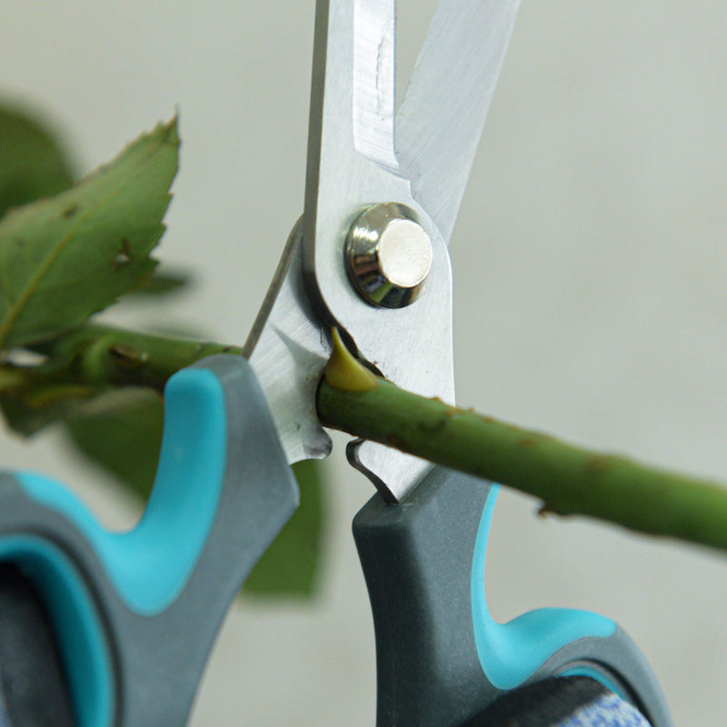 CYRUS Garden Shears Pruner Secateurs Pruning Scissors Flower Sharp Gardening hand tools Florist Bonsai Cutters Rose Snips BLUE