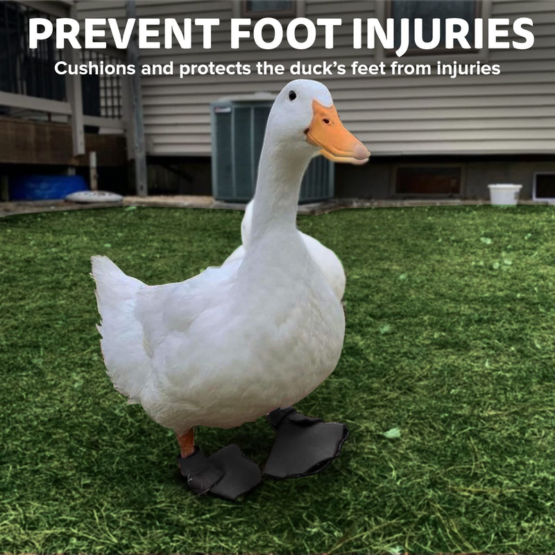 Duck Shoes for Injured Feet – Protective Neoprene Footwear for Ducks, Protective Shoes for Birds with Injured feet, Bumblefoot Relief - Small, 2.5’’ Max. Inside Width - Gray Small Ducks DUCK AND GOOSE SHOES