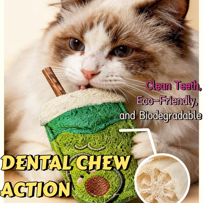 Natural Loofah Chew Cat Toys Janpanese Style, Dental Care Silvervine Sticks for Indoor Cats and Kittens, Milk Tea Cup-Shaped Catnip Treat Toys (Brown) Brown