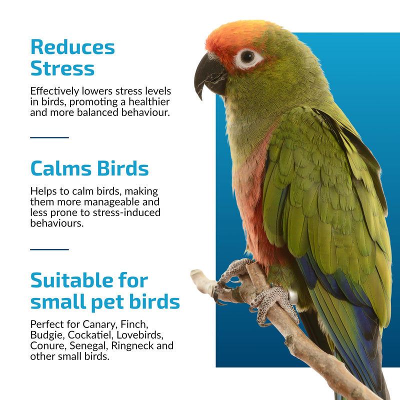 Calming Support for Small Parrots, Bird Calming Capsule, Soothes Plucking, Biting, & Screaming, Promotes Healthy Mood & Balanced Behavior - Natural & Safe for Birds 12.5oz or Less 30 Capsule