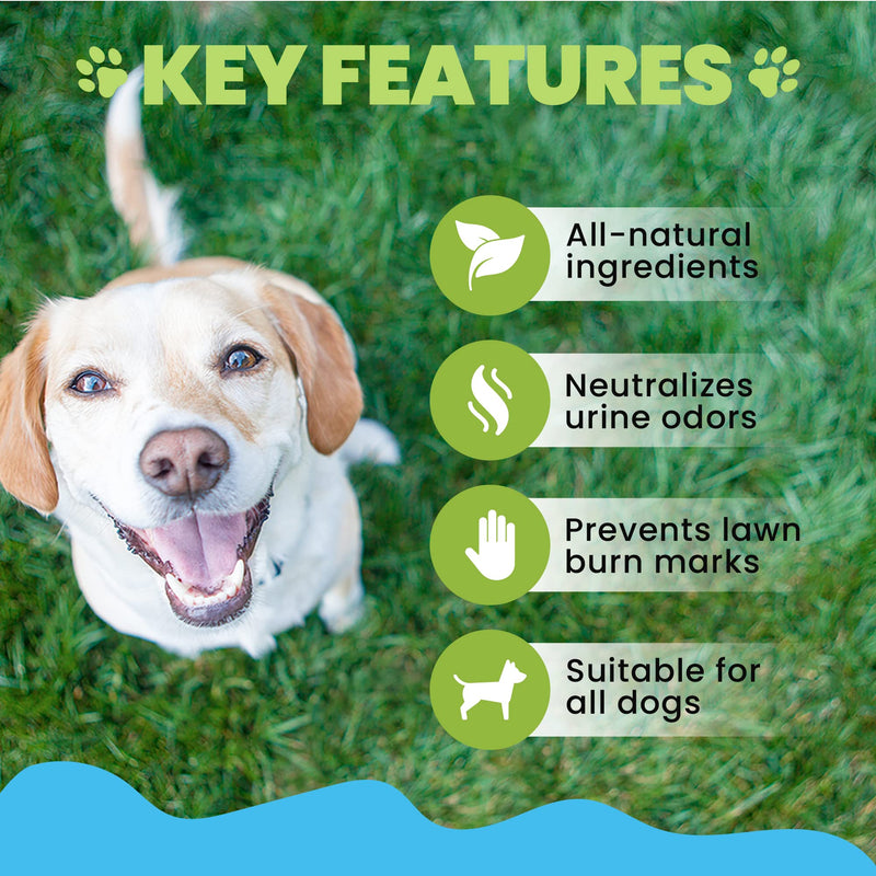 Dog Urine Neutraliser Liquid | Effective against Urine Odor and Lawn Burn | Alternative To Dog Rocks - PawsPlanet Australia