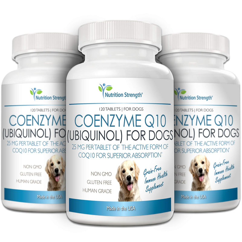 Nutrition Strength Coenzyme Q10 for Dogs Grain-Free Supplement, Ubiquinol - The Electron-Rich Form of CoQ10, Promotes Heart Health, Cognitive and Energy Support for Dogs, 120 Chewable Tablets - PawsPlanet Australia