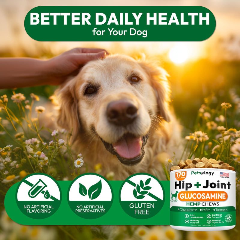 Hemp Hip and Joint Supplement for Dogs - Glucosamine for Dogs - 170 Mobility Support Chews - Advanced Joint Pain Relief Treats with Chondroitin, MSM, Turmeric - Large & Small Breeds - Made in USA 170 Chews