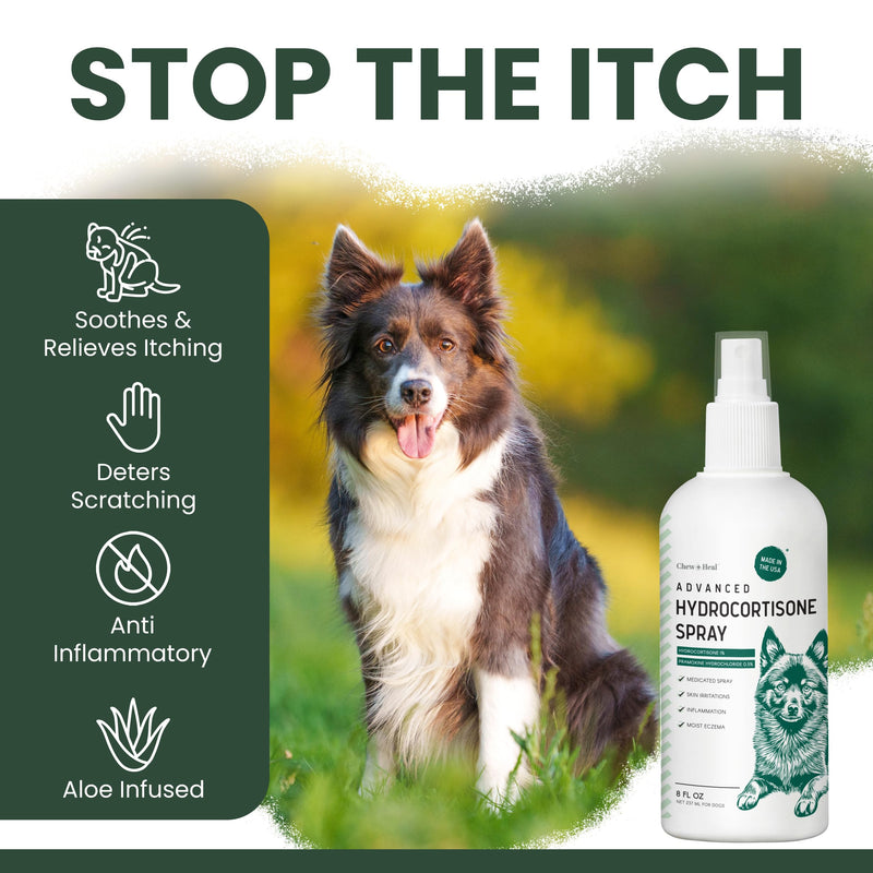 Hydrocortisone Spray for Dogs - Hot Spot Treatment & Itch Relief, 4 oz with Pramoxine - Soothes Dry Itchy Skin, Allergies, Dermatitis, Flea Bites, Aloe Infused, Made in USA - Chew + Heal Labs 4oz