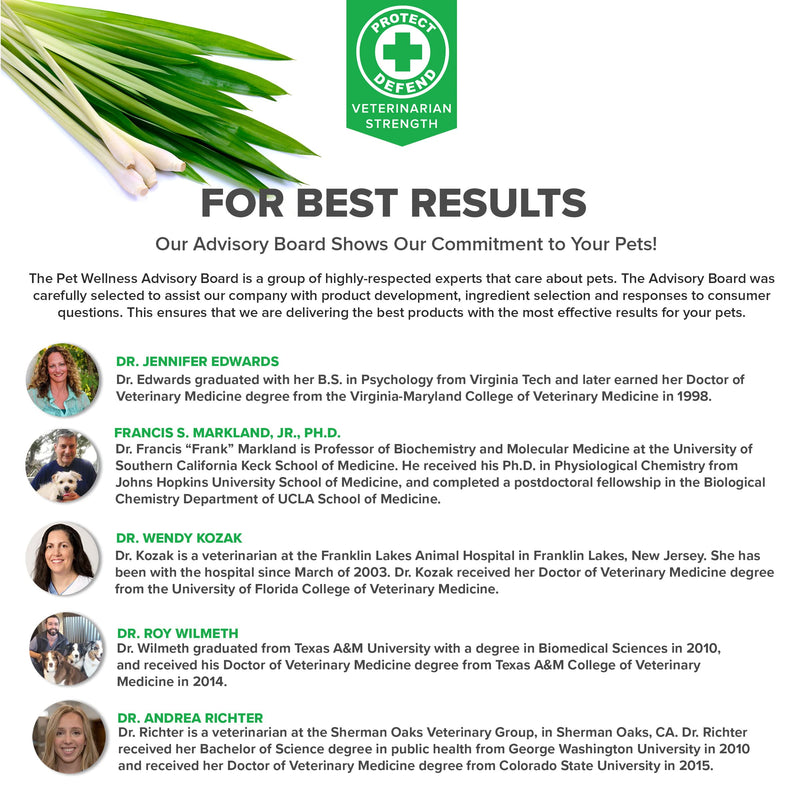 Protect Shampoo for Dogs; No More Scratching, Itching, or Hot Spots with Plant-Based All-Natural Formula with Healthy Essential Oils - Made in USA One Bottle - PawsPlanet Australia