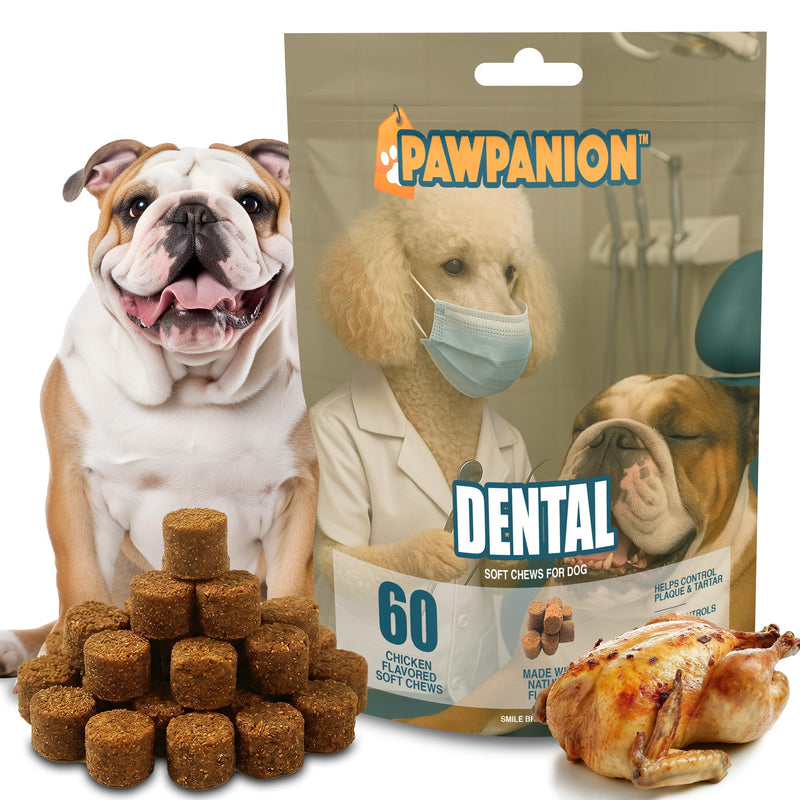 Dental Soft Chews for Dogs, Oral Health & Fresh Breath Support, Probiotics + Seaweed + Zinc, Helps Reduce Plaque & Tartar, 60 Soft Chews Chicken Flavor Dental