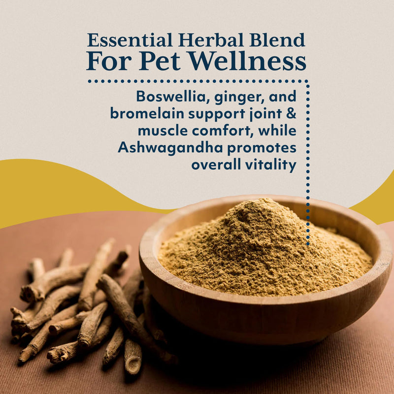Ayush Pet Boswelya Plus, Joint and Muscle Support for Pets, Ayurvedic Pet Supplement with Boswellia, Ginger, and Bromelain, Large or Small Animals, 90 Vegetarian Caplets - PawsPlanet Australia