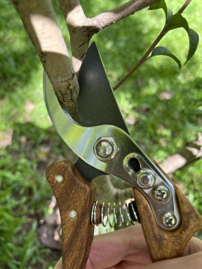 Garden Shears, Japanese Floral branch cutters, Snips for Gardening, Flower scissors Florist clippers, Hand Held Pruners for Gardening Heavy Duty, Pruning shears for garden (Wood Black) Wood Black