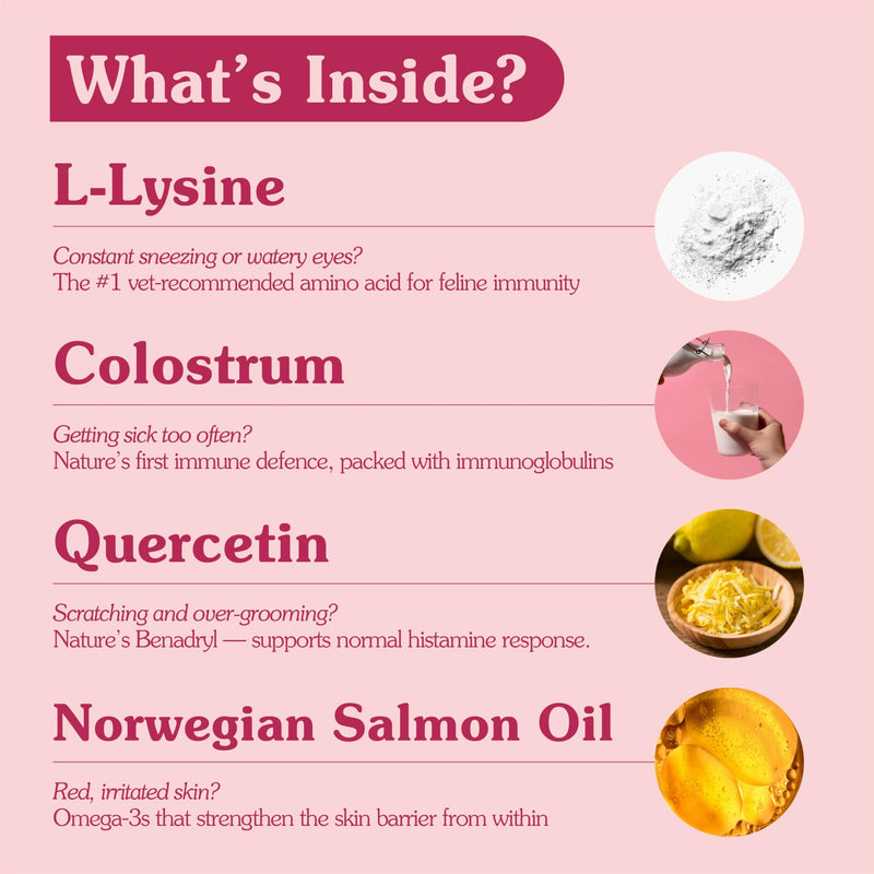 Cat Immune Support Lysine Powder - Allergy Relief Supplement for Cats with L-Lysine, Quercetin, Colostrum & Omega-3, Soothes Sneezing & Itchy Skin, 4.2 oz, 120 Scoops