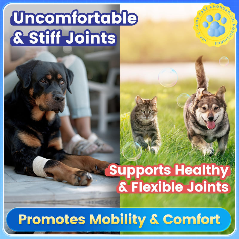 Glucosamine for Dogs, Hip & Joint Supplement for Dogs Cats, Glucosamine Chondroitin for Dog Supports Joint Health and Joint Pain Relief, Chicken Flavored for All Breeds and Sizes, 120 Tablets