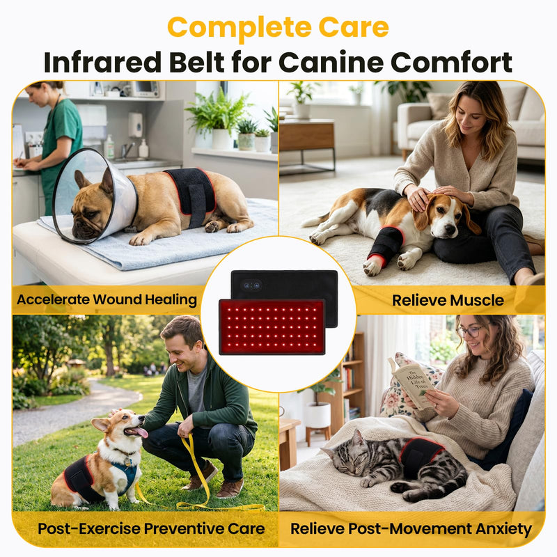 Red Light Therapy for Dogs: Wearable Red Light Belt for Dogs Back Hip Waist 12.8×6.8in 660/850nm 80 Led Pad Infrared Device for Pets Pain Relief 1 Pack
