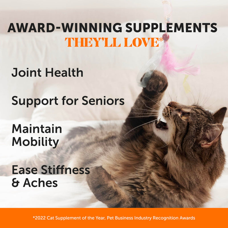Cat Hairball Support + Cat Hip & Joint Support Dual Texture Chew Supplement Bundle - Hairball Solution, Supports Skin & Coat and Digestion, Glucosamine Joint Support Supplement