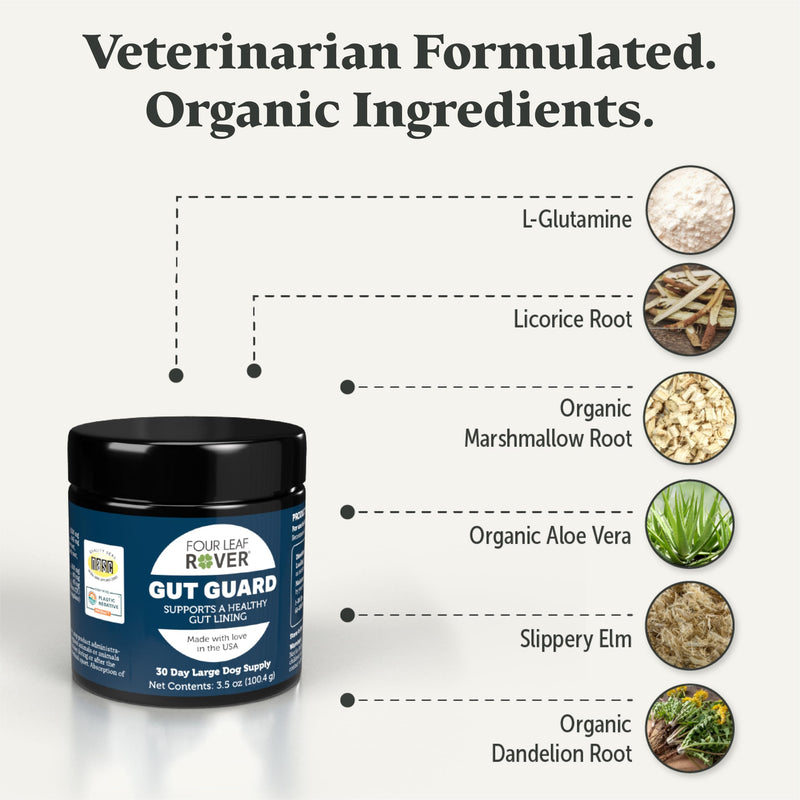 Gut Guard - Dog Probiotics, Prebiotics, and Organic Herbs for Dog Gut Health and Dog Immune Support - Veterinarian Formulated - 30 Day Large Dog Supply