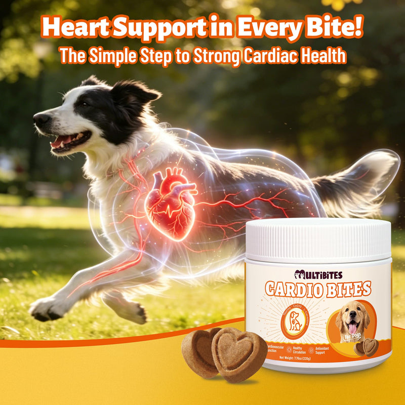 Dog Healthy Heart Supplements - Taurine for Dogs with CoQ10, L-Carnitine, Fish Oil, Vitamins - Supports Cardio & Cardiovascular Health, Antioxidant Support, 7.76 oz