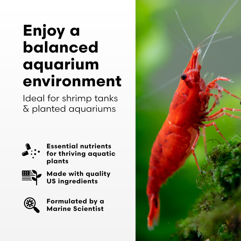 Brightwell Aquatics Shrimp FlorinMulti – Complete Plant Nutrient Supplement for Shrimp & Freshwater Aquariums – Supports Growth, Color & Health – Copper-Free, 125 ml 125-ml