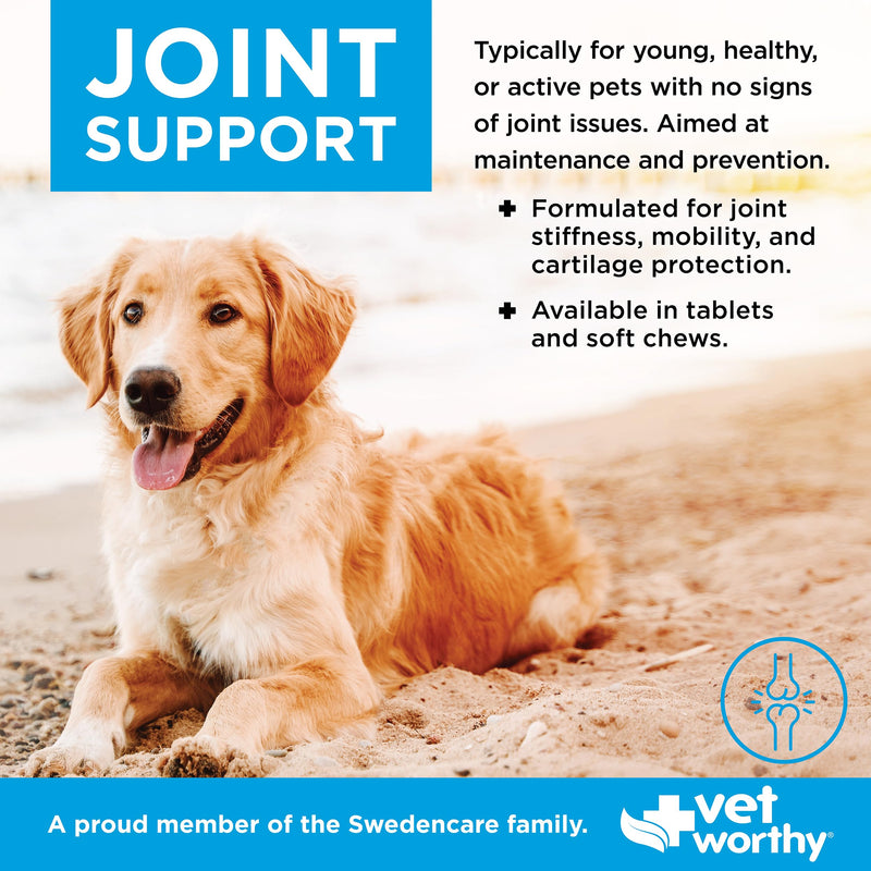 Vet Worthy Joint Support Soft Chews - Bone and Joint Supplement for Dogs - Contains Glucosamine Chondroitin for Dogs & MSM - Formulated for Stiffness, Mobility, and Cartilage Protection – 60 Count