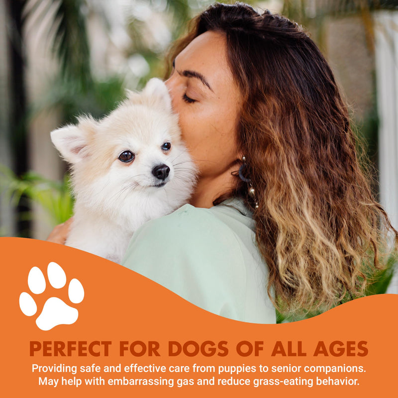 Pre & PostBiotic Support for Dogs – Digestive Upset, Stool Quality & Sensitive Stomach Support – Easy Liquid Formula for Picky Eaters Pot Roast 8 oz