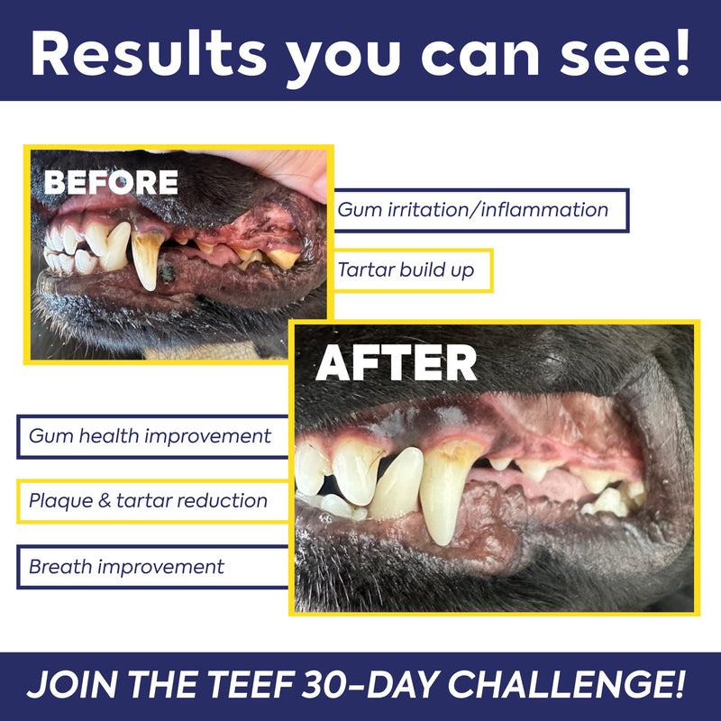 TEEF FOR LIFE Refill Packets Protektin42 Prebiotic Dental Powder for Dogs, Plant-derived, Clinically-Proven Formula Naturally Fights Bad Breath, Plaque, and Tartar, 3 Packets with 90 Servings Refill Packet (90 Servings)