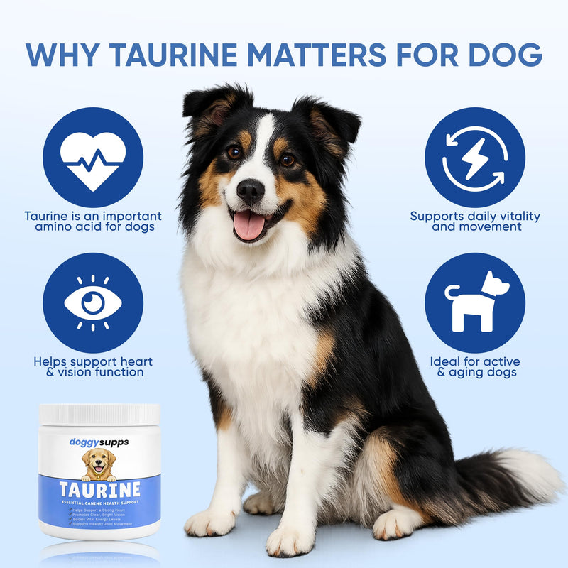 Doggy Supps Taurine for Dogs, Taurine Supplement for Dogs, Immune Support, Boost Energy & Vitality, Skin & Coat Health for Heart, Vision & Daily Wellness, 200 Grams (1) 1