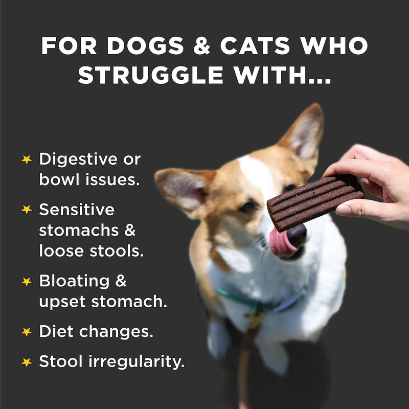 Diggin' Your Dog Firm Up Bars for Dogs & Cats, 100% Made in USA, Pumpkin Powder Bars for Dogs, Digestive Support, Apple Pectin, Fiber, Healthy Stool, 6 Count - PawsPlanet Australia
