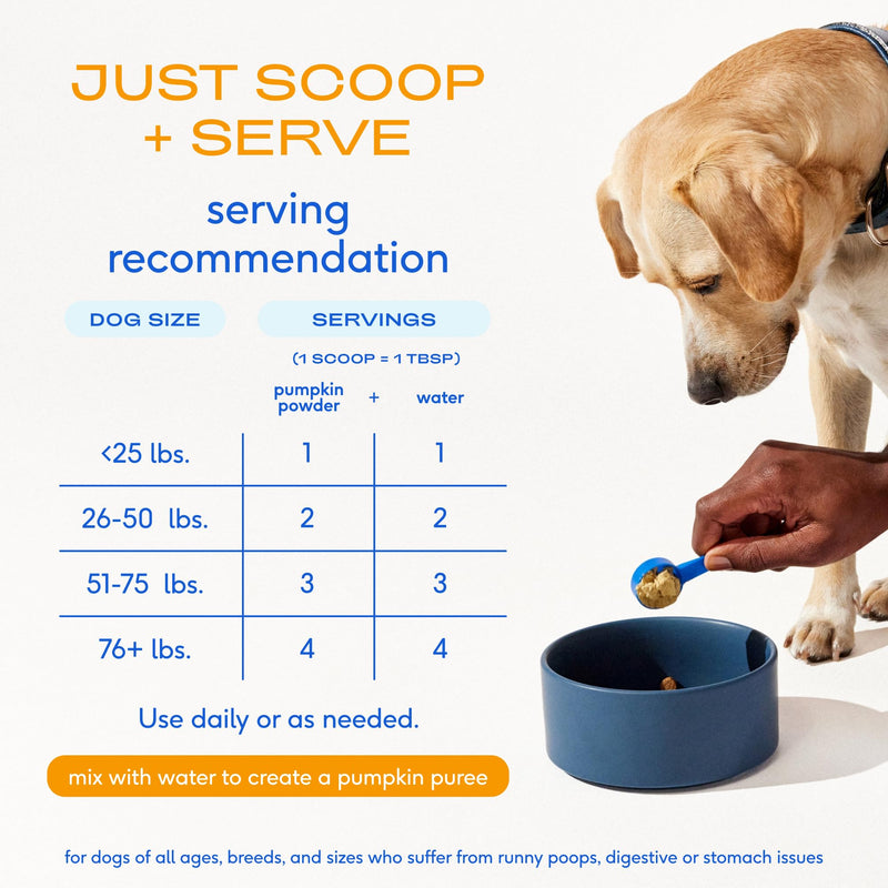 Native Pet Dog Calming Chews (60 Chews) & Organic Pumpkin for Dogs (8 oz.) - Melatonin for Small, Medium, Large Dogs and All-Natural, Organic Fiber Pumpkin Powder for Dogs